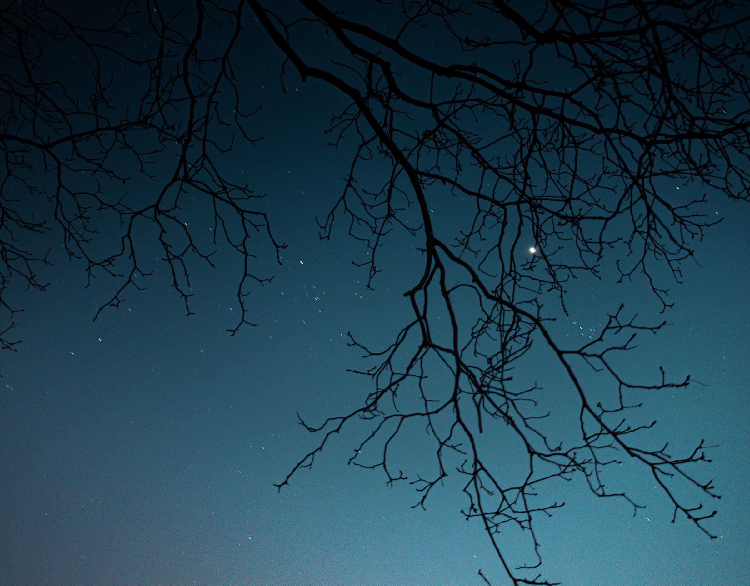 Piet van der Henne is een amateurfilmer uit Franeker